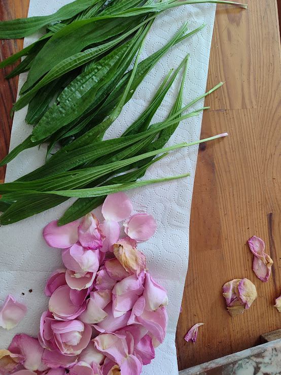 visite virtuelle de l'écolieu à La Réole en Gironde